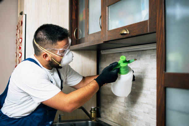 Best Pest Control for Homes  in Essexville, MI