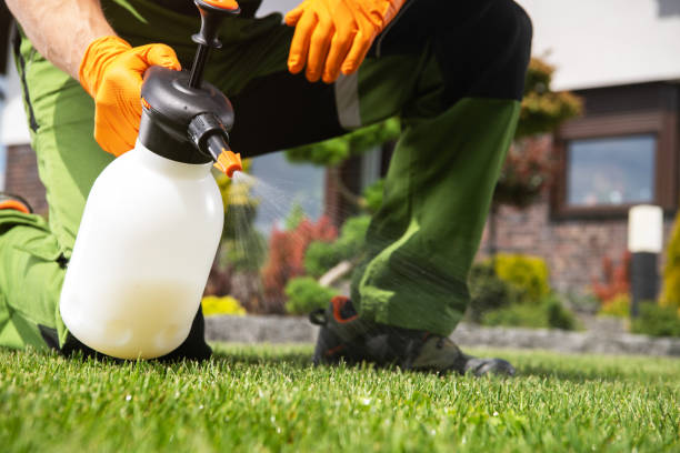 Best Pest Prevention Services  in Essexville, MI