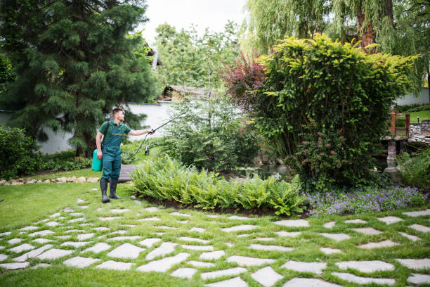 Best Best Pest Control Companies  in Essexville, MI