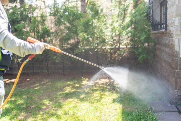 Best Termite Control Services  in Essexville, MI