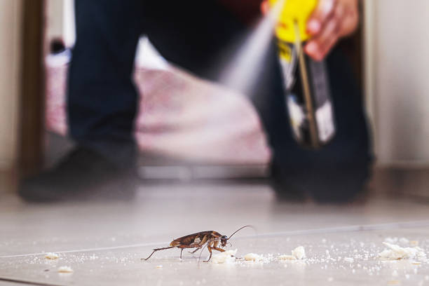 Best Mosquito Control Services  in Essexville, MI