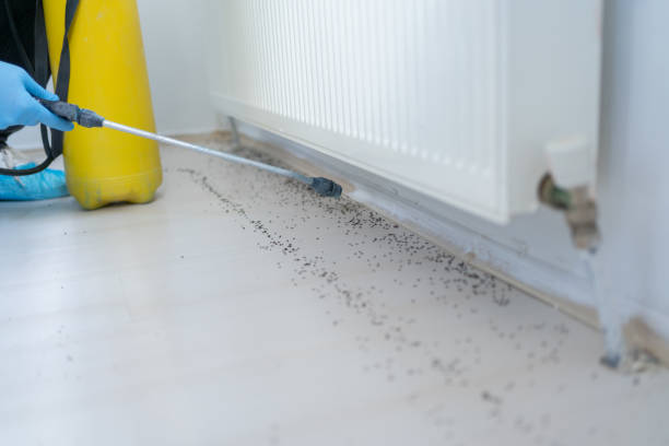 Best Wildlife Control Services  in Essexville, MI