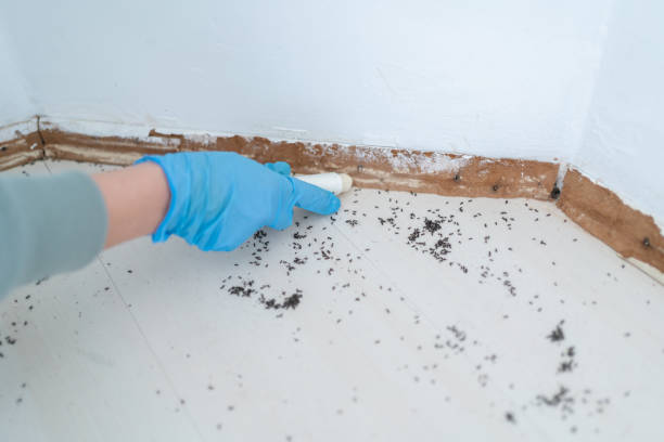 Best Exterminator Services  in Essexville, MI