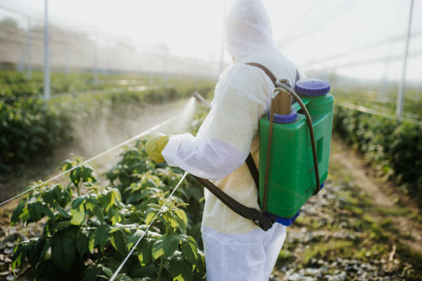 Best Bed Bug Extermination  in Essexville, MI